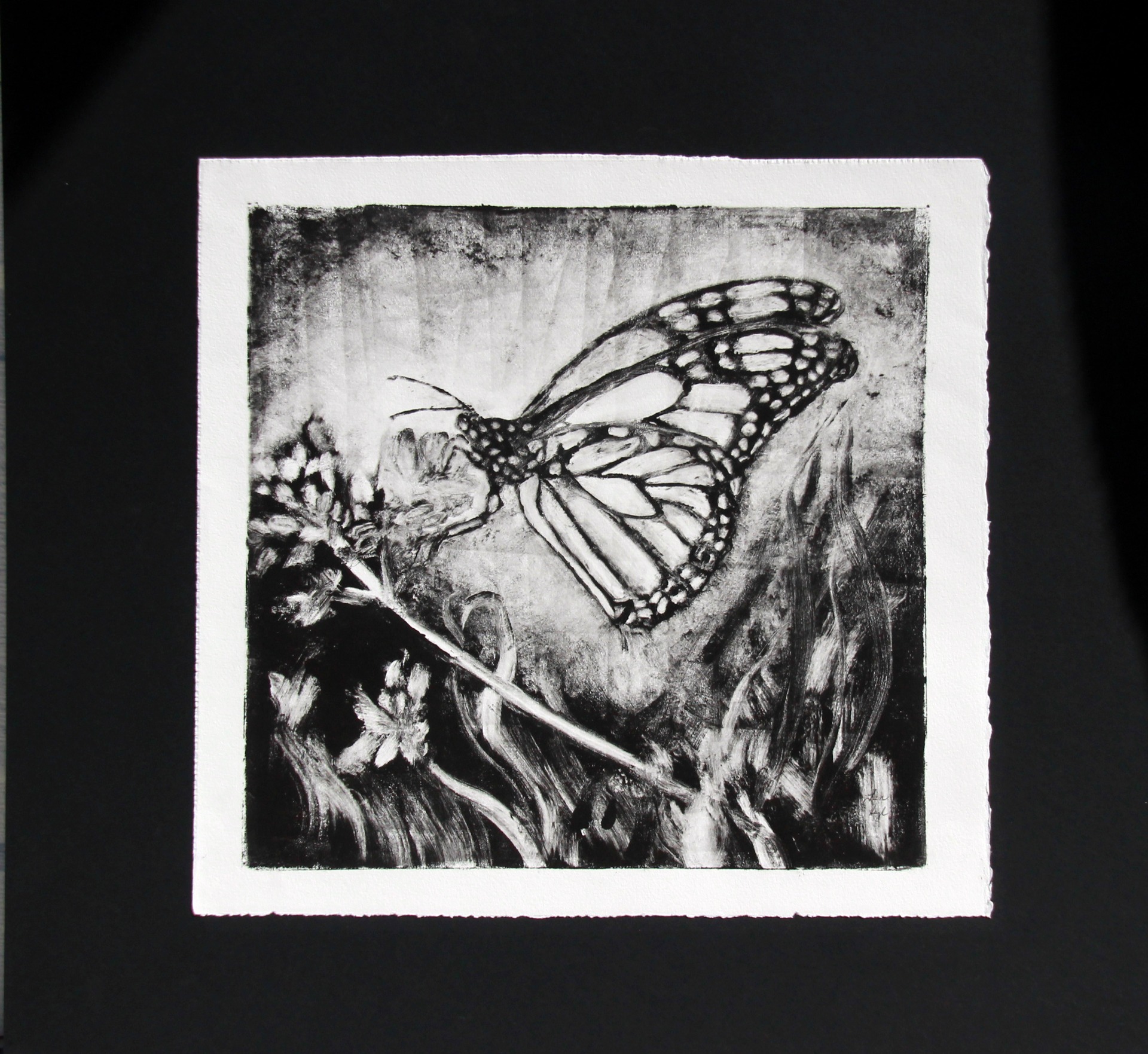 Butter Migration I
